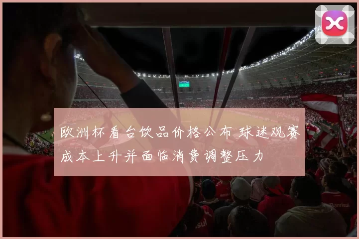 欧洲杯看台饮品价格公布 球迷观赛成本上升并面临消费调整压力