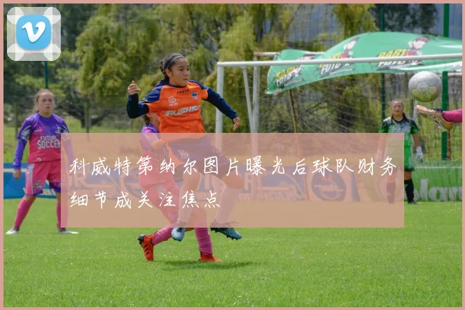 科威特第纳尔图片曝光后球队财务细节成关注焦点